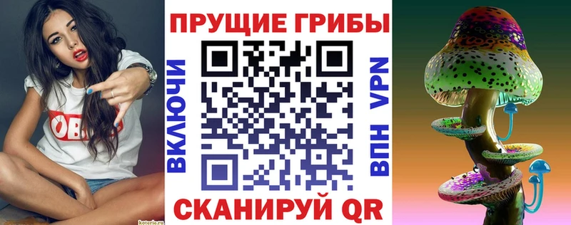 купить наркотик  Егорьевск  Галлюциногенные грибы мицелий 